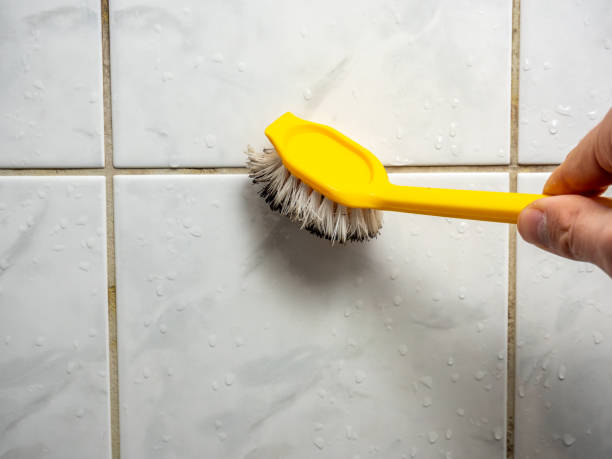 Reliable Flat Rock, NC Mold Removal Solutions