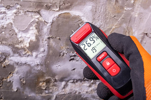 Best Crawl Space Mold Removal  in Flat Rock, NC