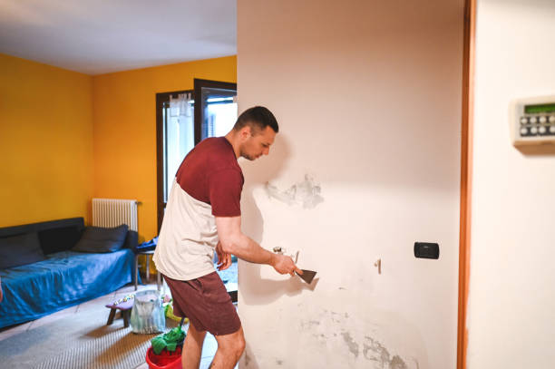Best Local Mold Removal Service  in Flat Rock, NC